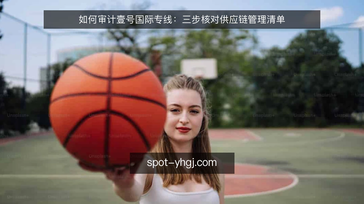如何审计壹号国际专线:三步核对供应链管理清单