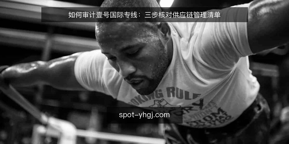 如何审计壹号国际专线:三步核对供应链管理清单 — 为什么现在要审计壹号国际专线 配图