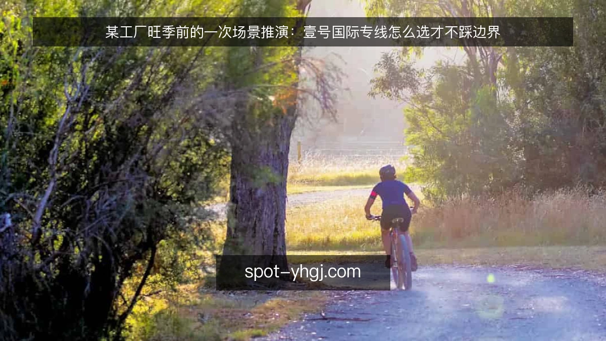 某工厂旺季前的一次场景推演:壹号国际专线怎么选才不踩边界